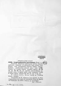 Image of Leptosphaerulina personata